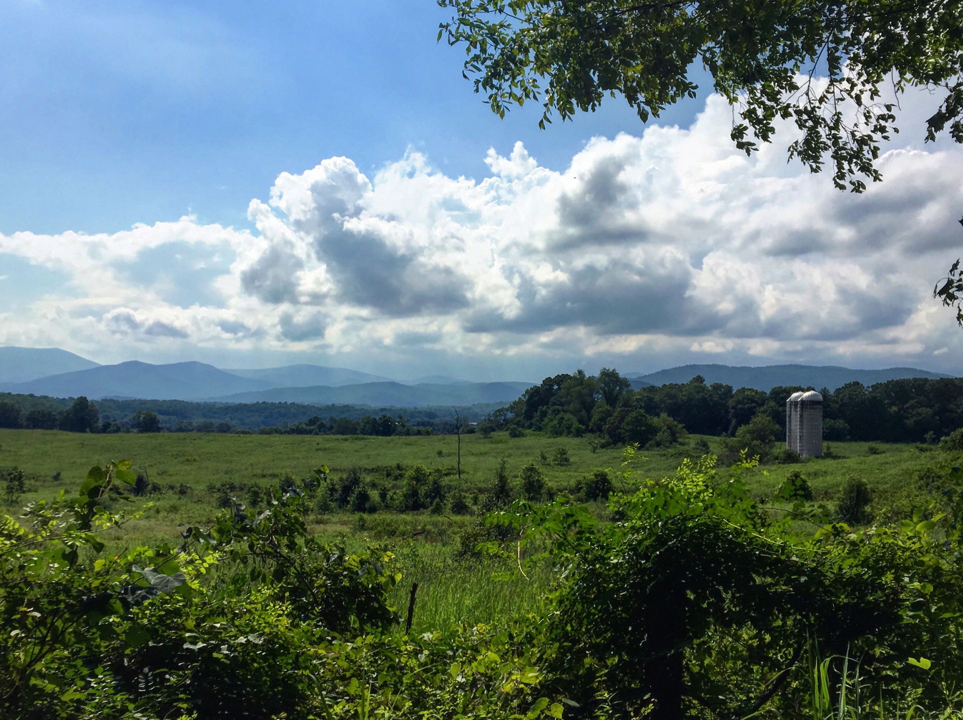 Following the Rappahannock: Rural Roots and the Work of Staying